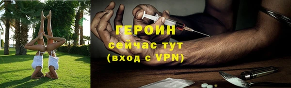 молекула духа Вяземский