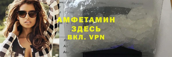 молекула духа Вяземский