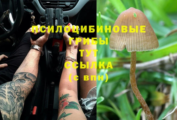 a pvp Вязники
