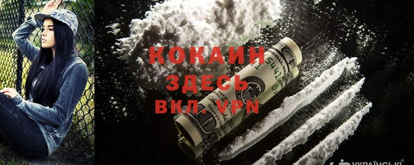 молекула духа Вяземский