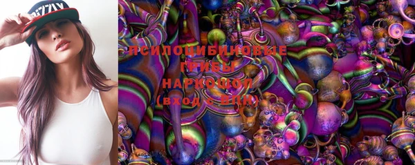 молекула духа Вяземский